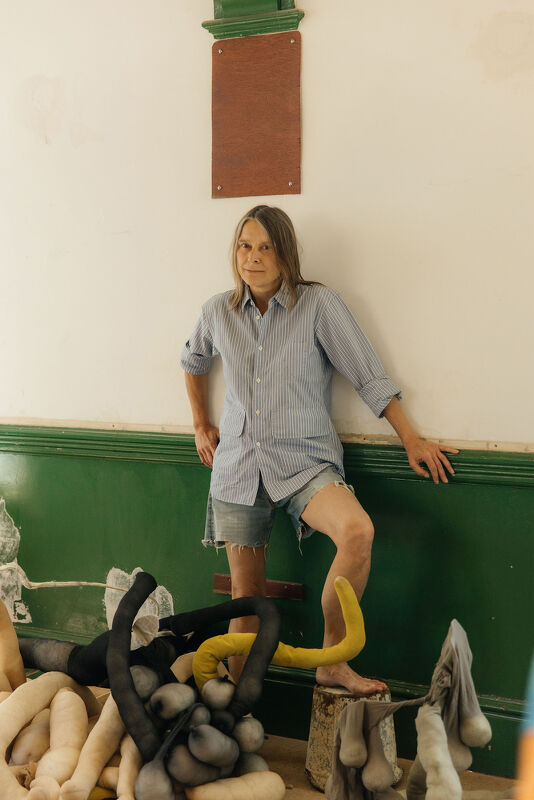 Sarah Lucas, Financial Times