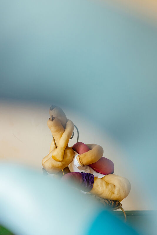 Sarah Lucas, Financial Times