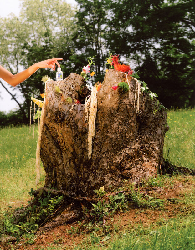 Sophia  Eleni  Pappas