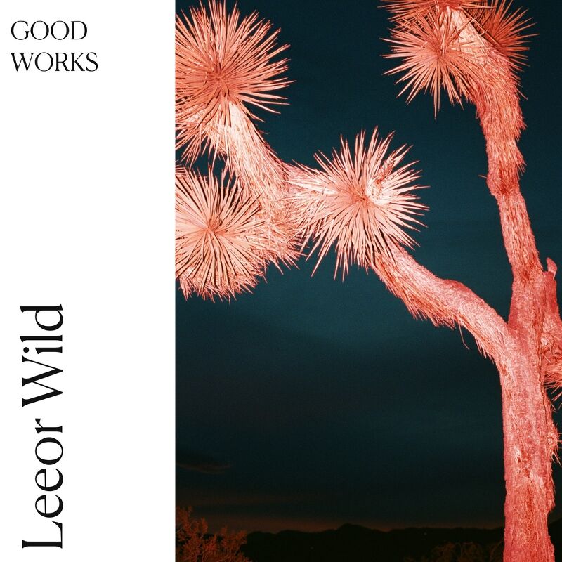 Introduces Good Works