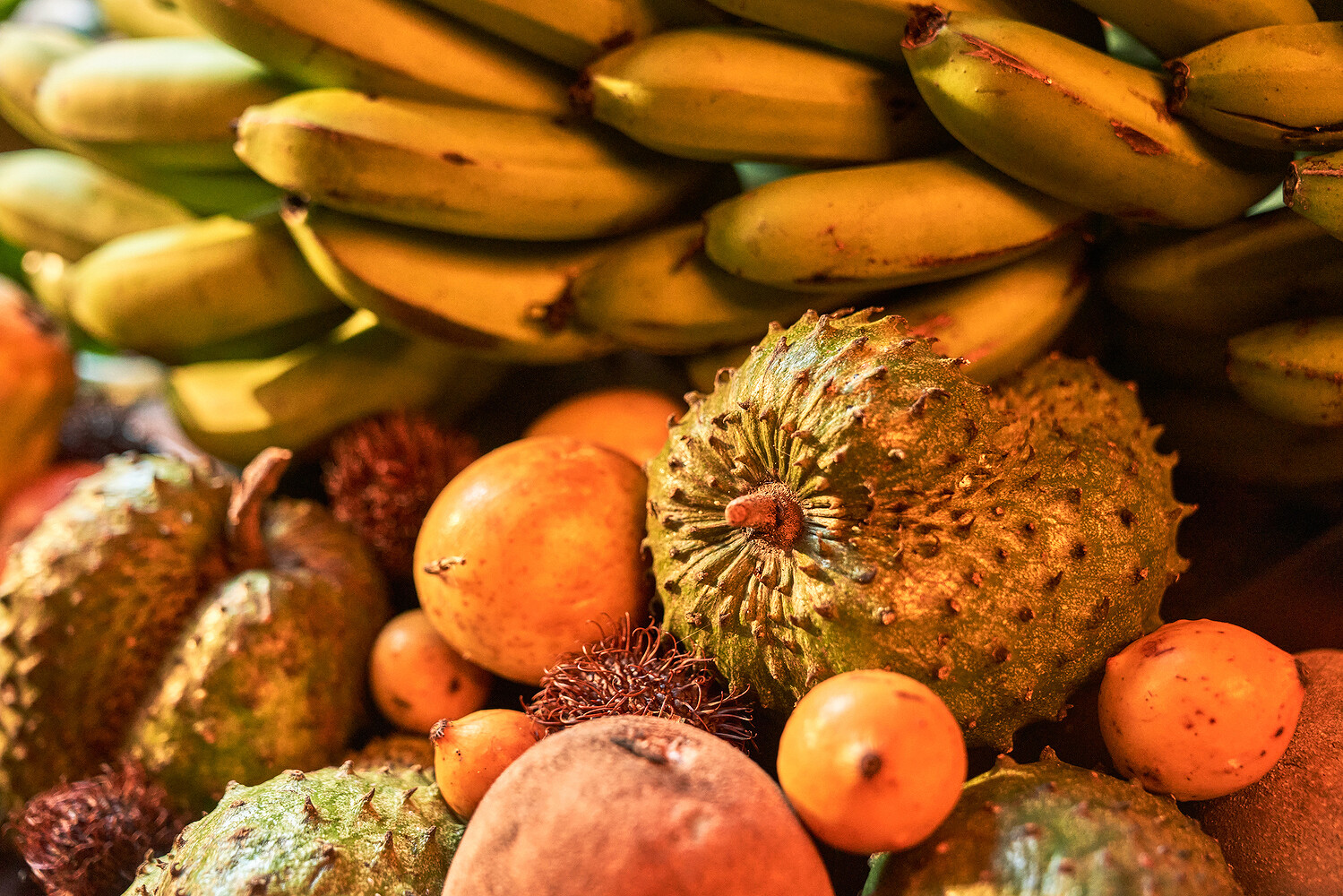 Bacardi, “Sustainability Journey”