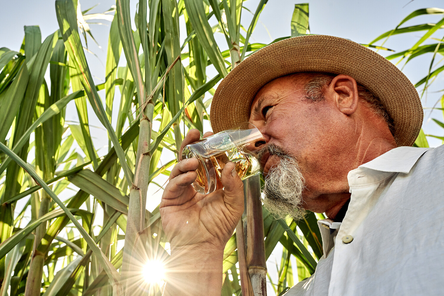 Bacardi, “Sustainability Journey”