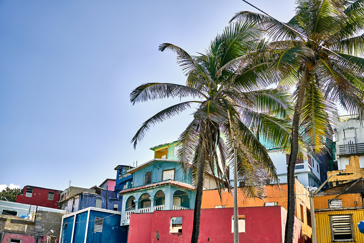 Bacardi, “Sustainability Journey”