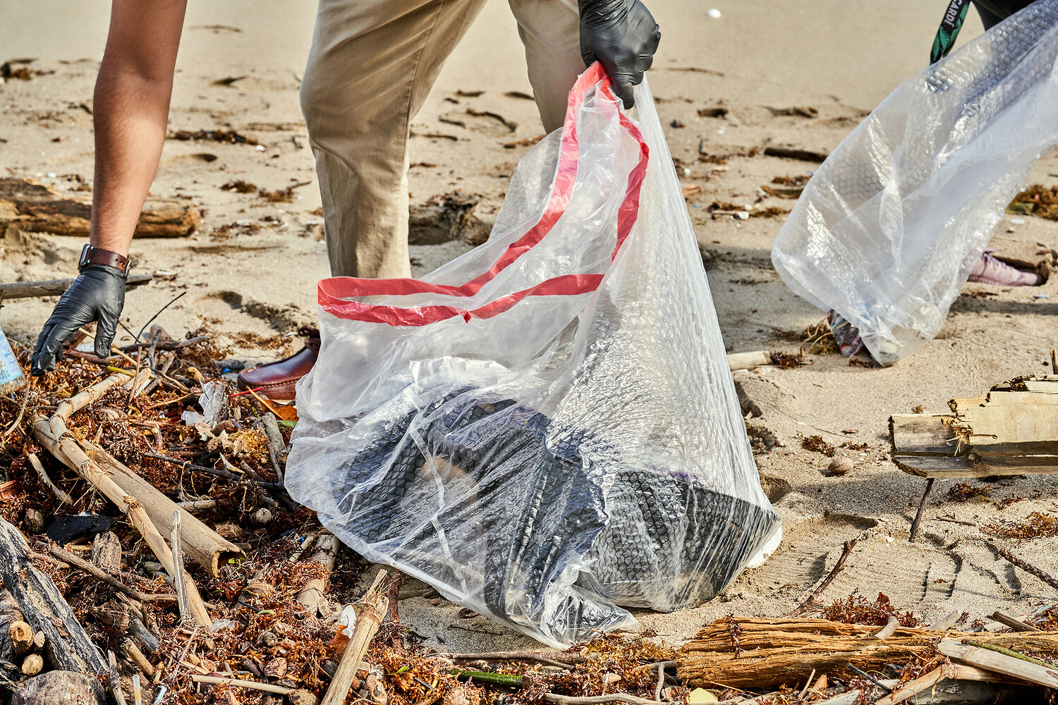 Bacardi, “Sustainability Journey”