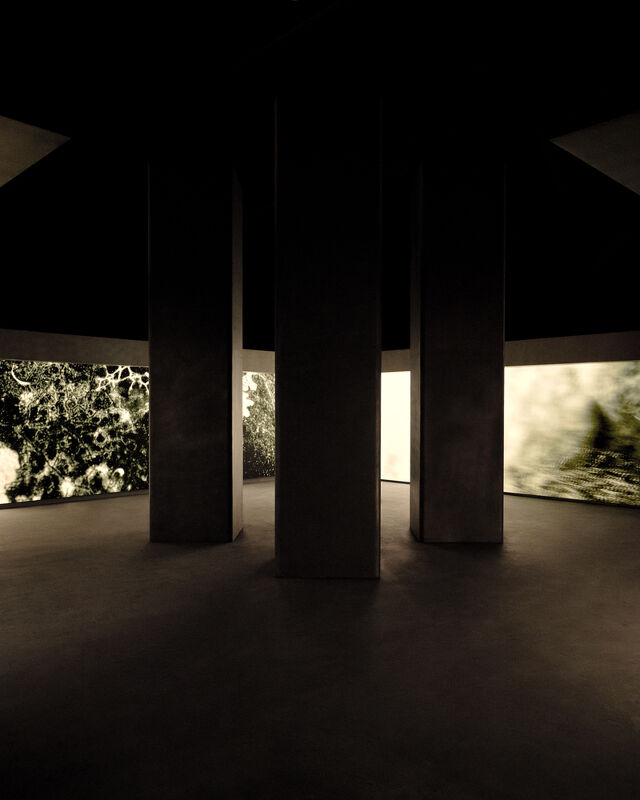 Fear of God,  Adidas