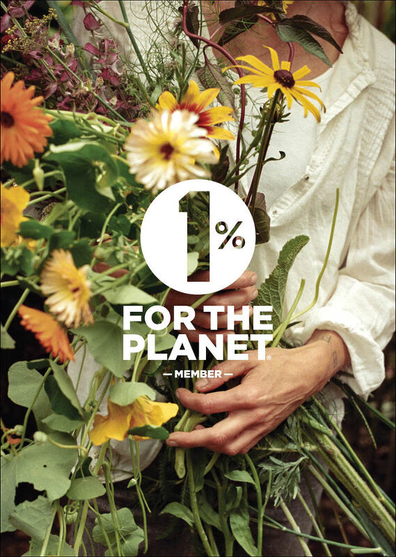 Giving Back: In 2023 we Planted over 50,000 trees