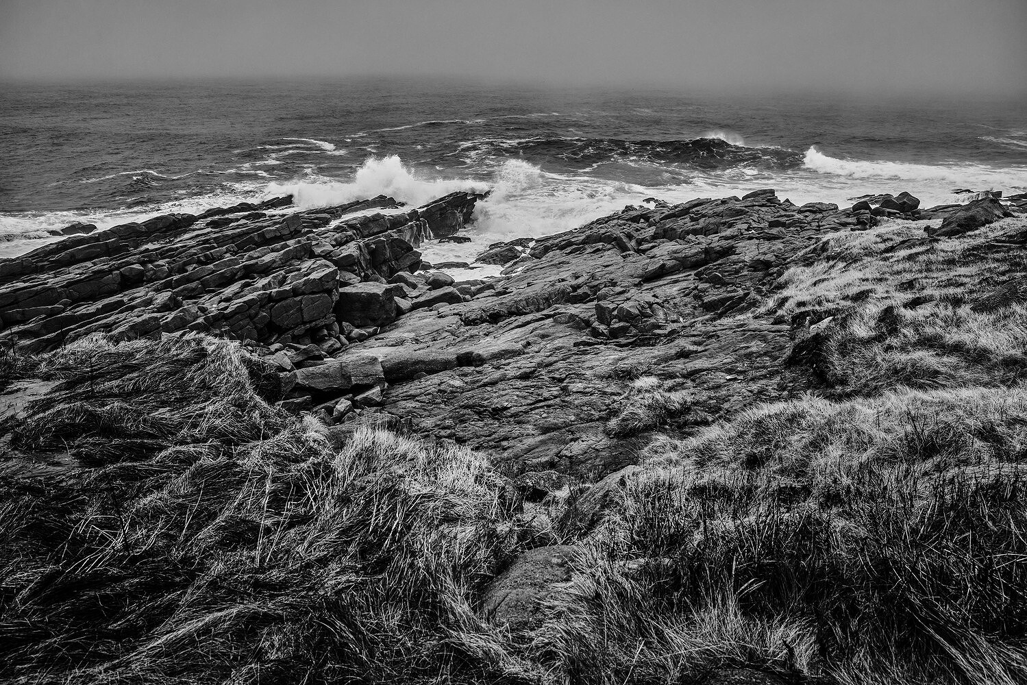 Well Souled, St. John’s