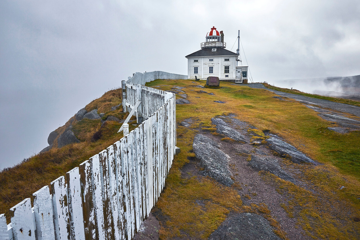 Well Souled, St. John’s