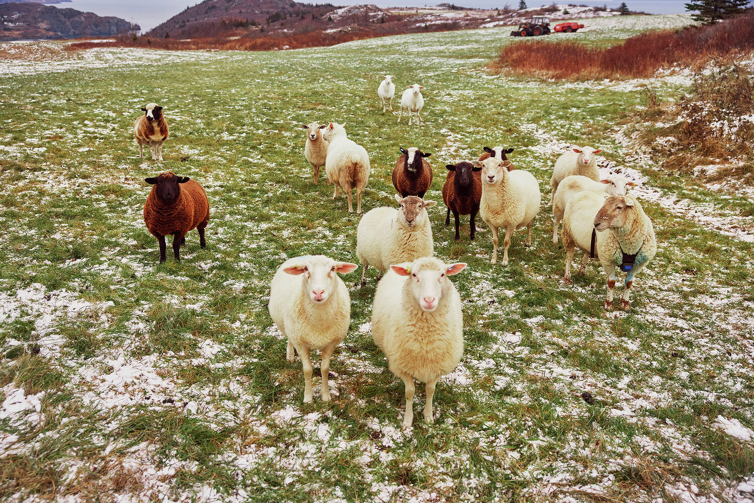 Well Souled, St. John’s