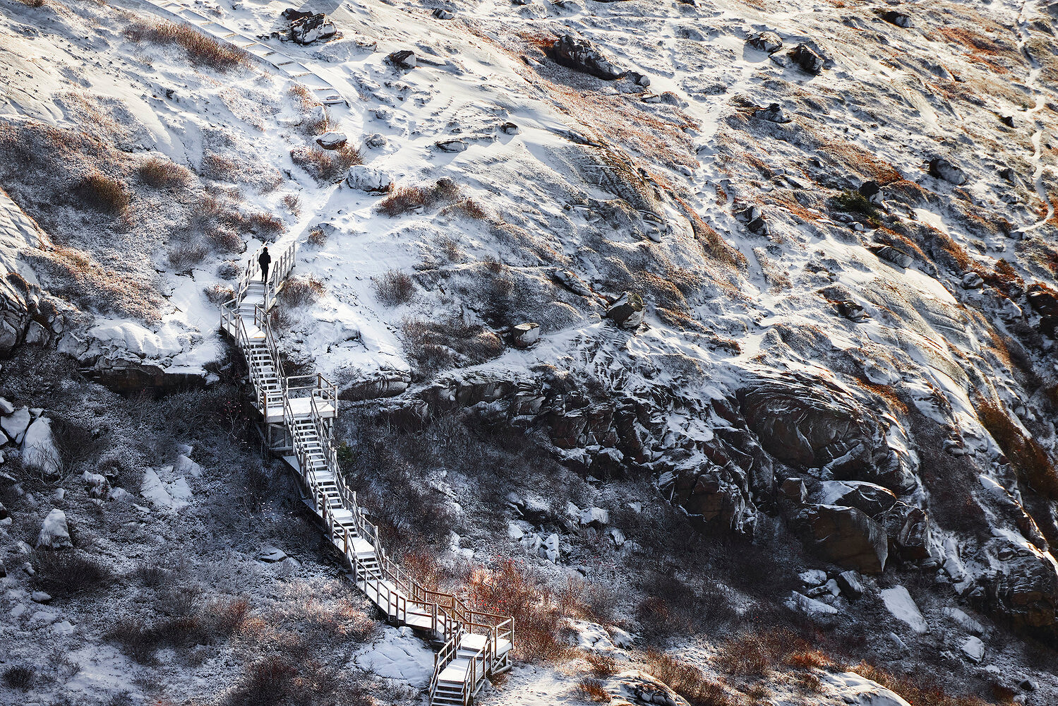 Well Souled, St. John’s