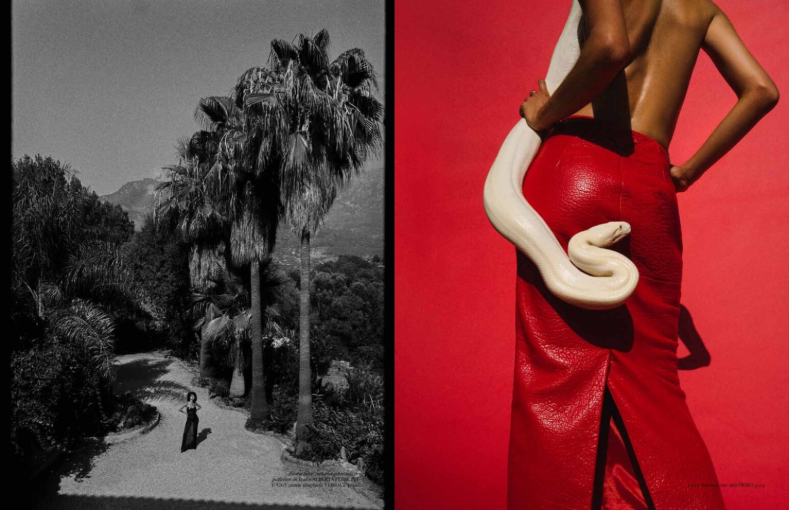 Linda Gümüs-Gerritsen