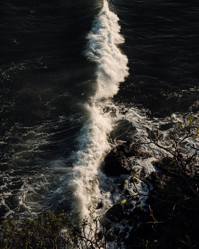 One and Only Mandarina