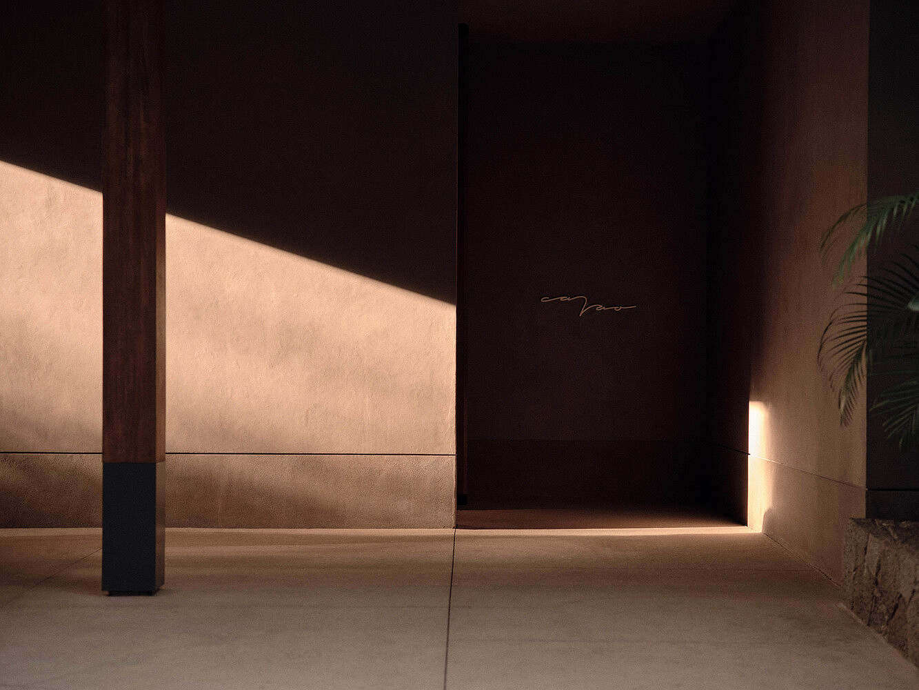 One and Only Mandarina