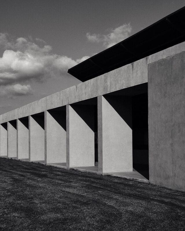 One and Only Mandarina