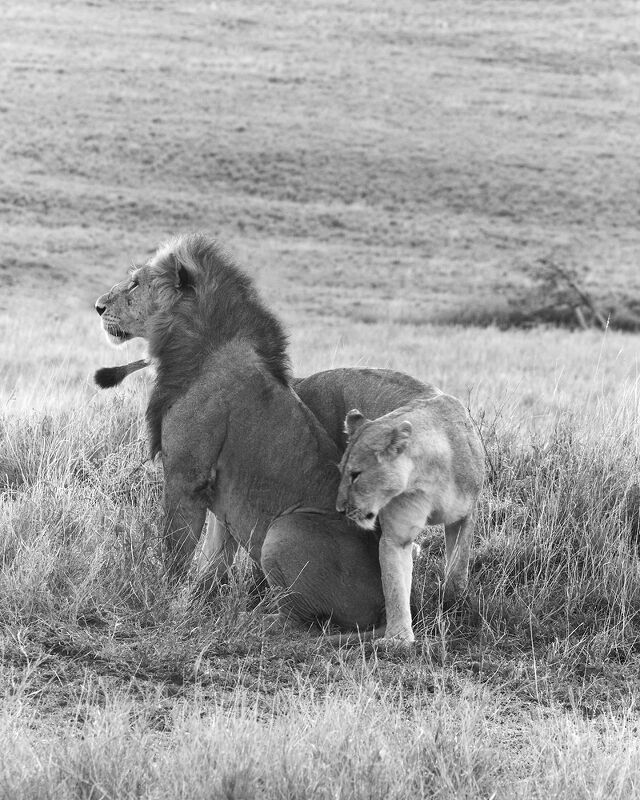 Personal Work | Kenya