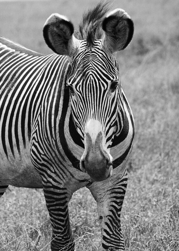 Personal Work | Kenya