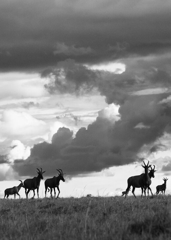 Personal Work | Kenya