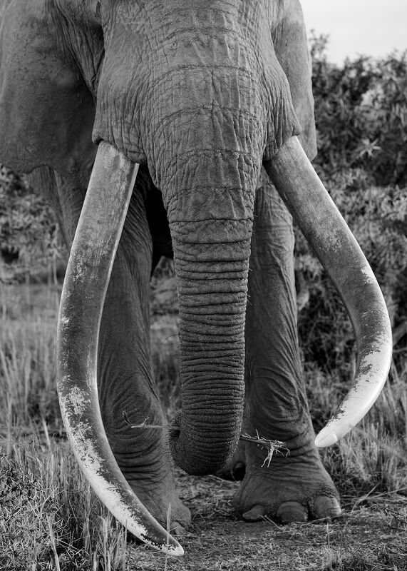 Personal Work | Kenya