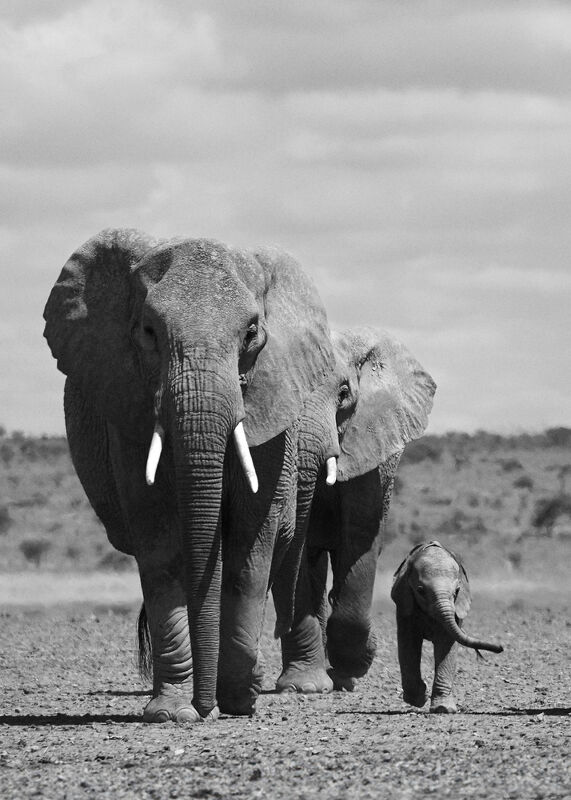 Personal Work | Kenya