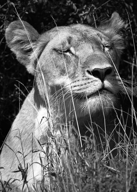 Personal Work | Kenya