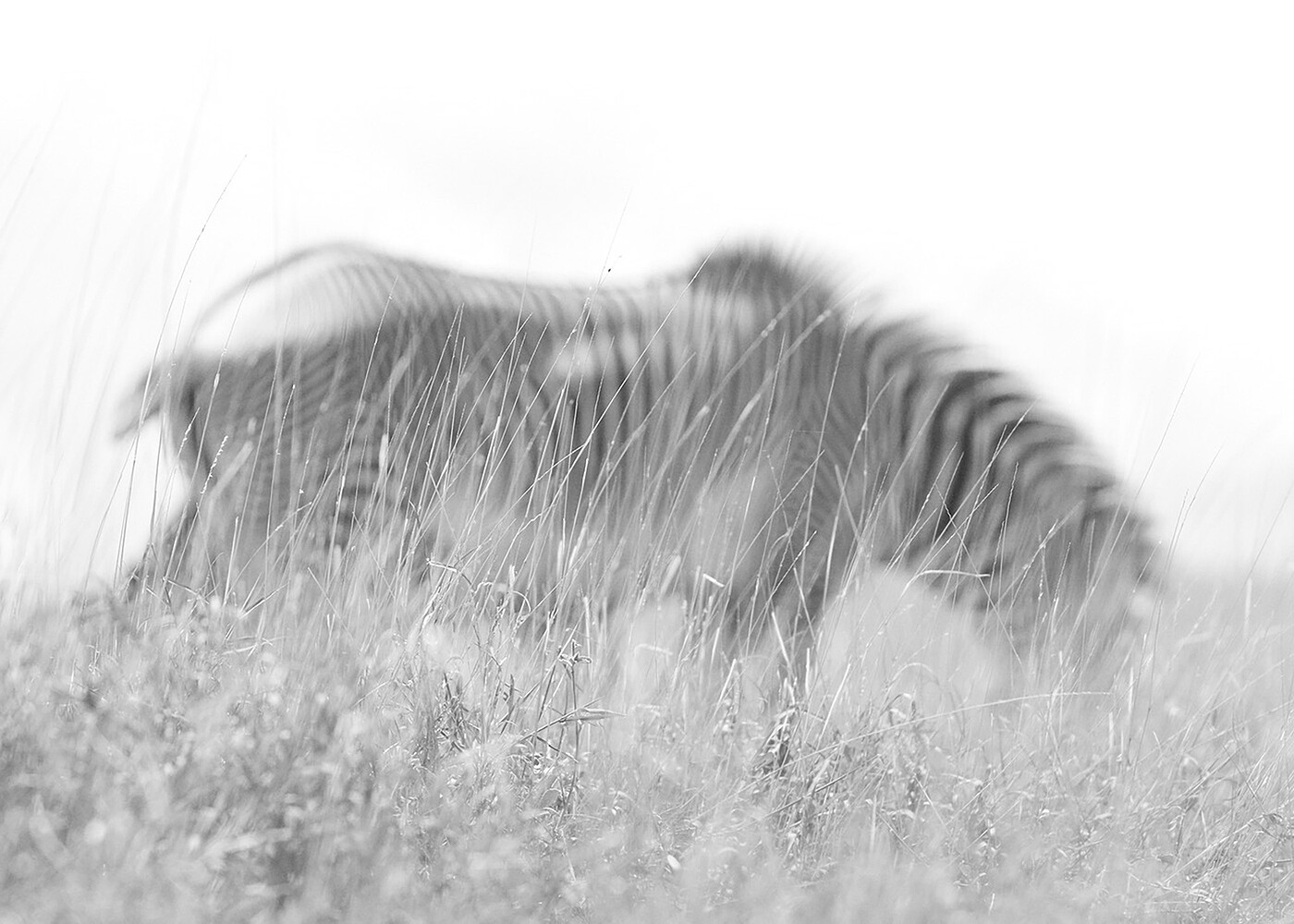 Personal Work | Kenya