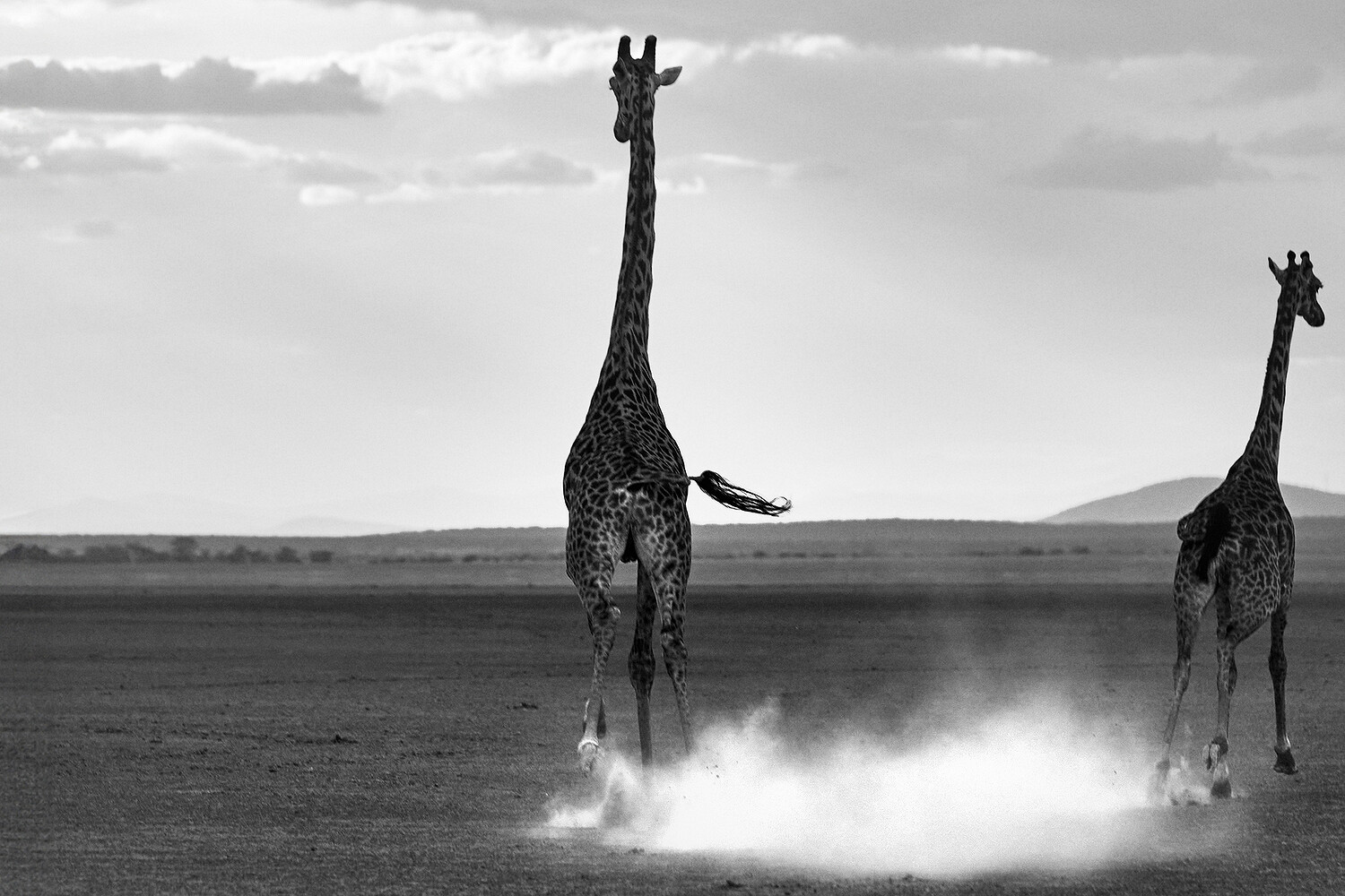 Personal Work | Kenya