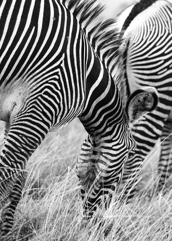 Personal Work | Kenya