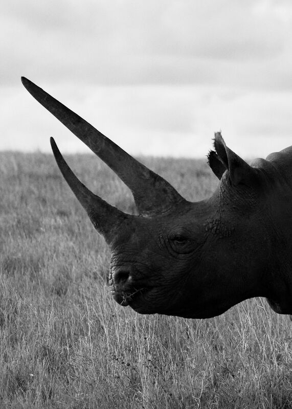 Personal Work | Kenya