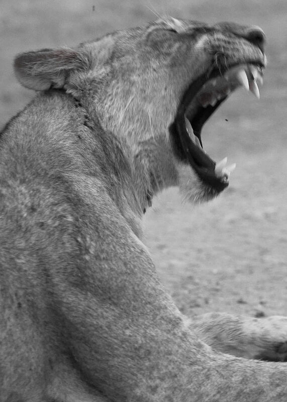 Personal Work | Kenya