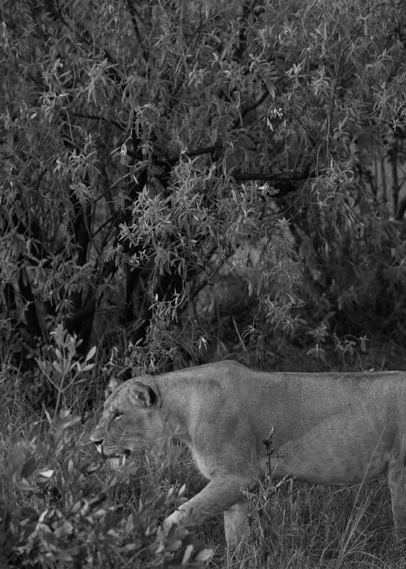 Personal Work | Kenya