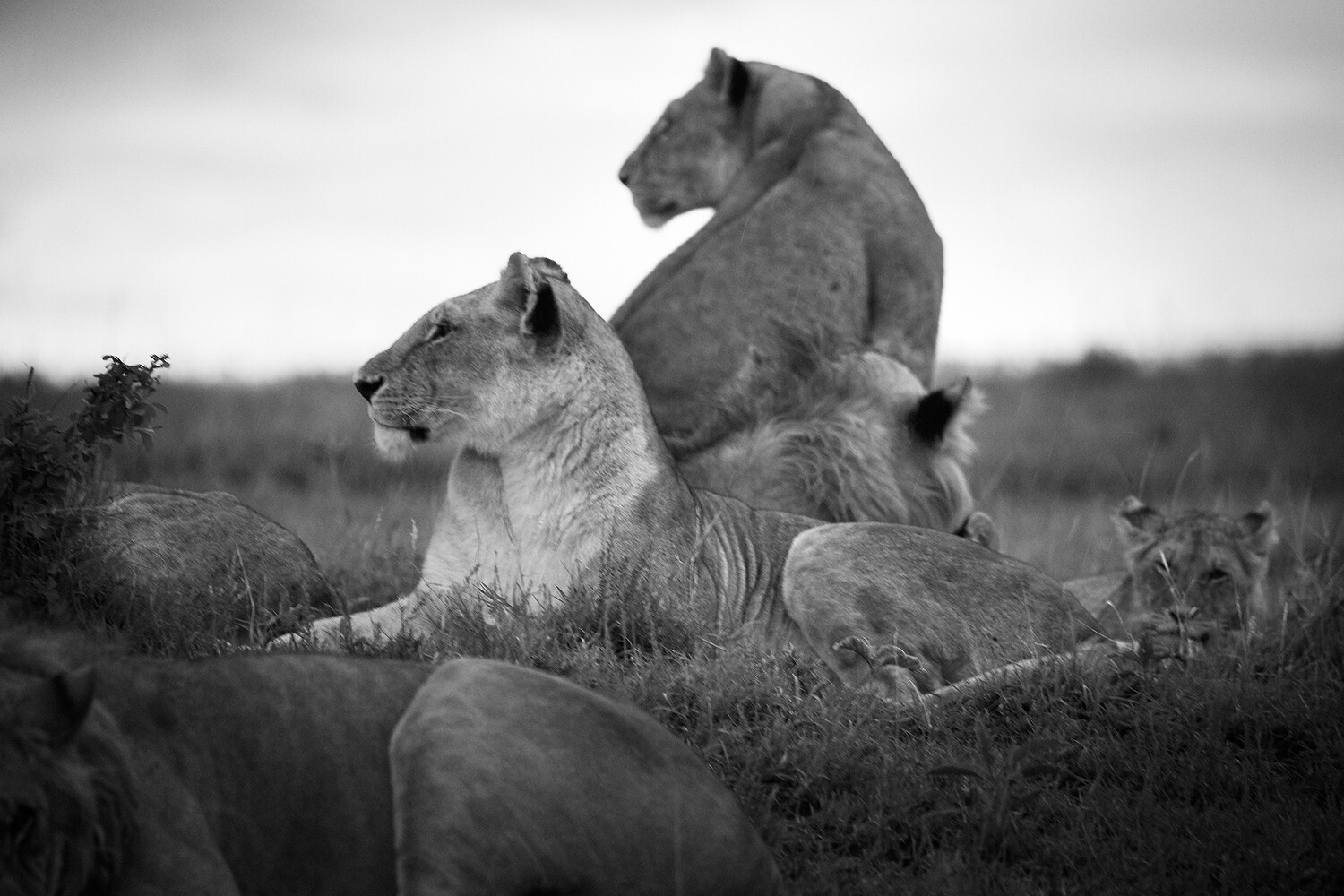 Personal Work | Kenya