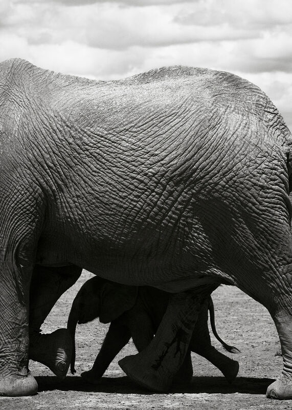 Personal Work | Kenya