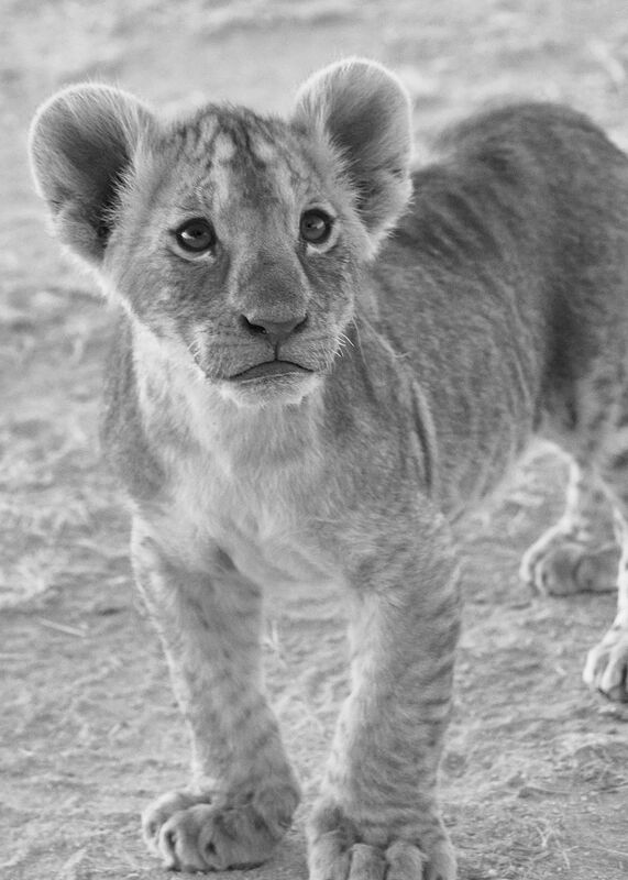 Personal Work | Kenya