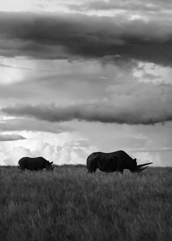 Personal Work | Kenya