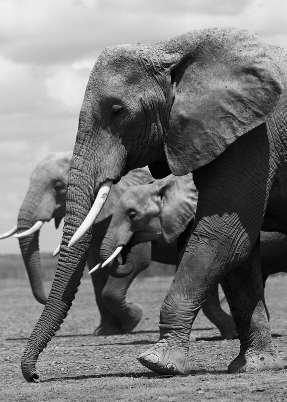 Personal Work | Kenya