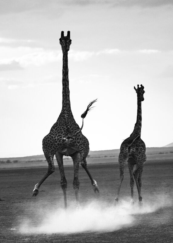 Personal Work | Kenya