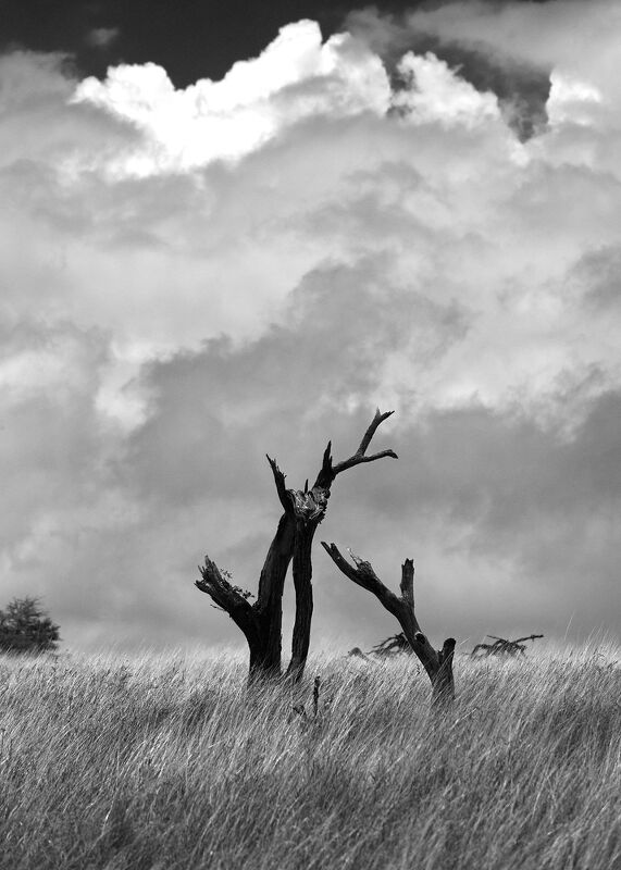 Personal Work | Kenya