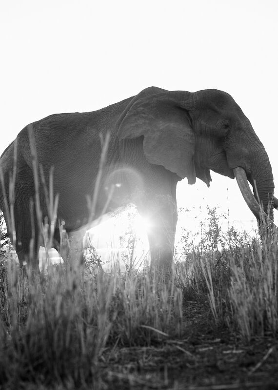 Personal Work | Kenya