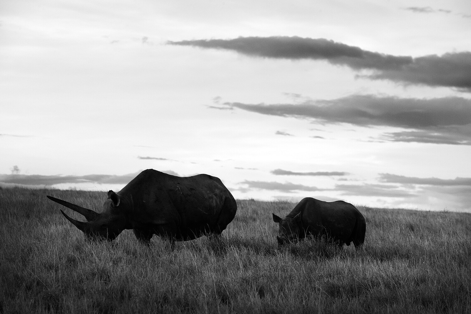 Personal Work | Kenya