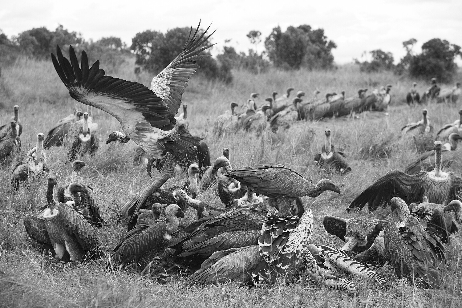 Personal Work | Kenya