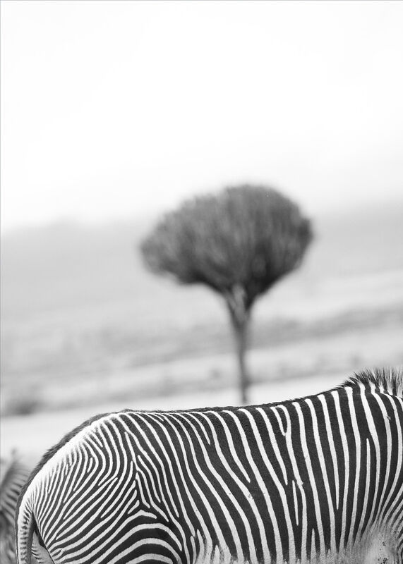 Personal Work | Kenya