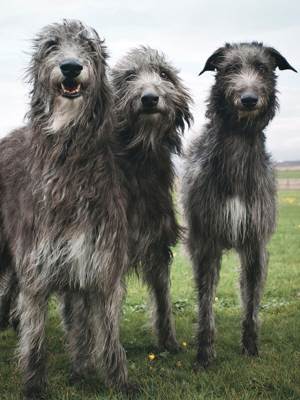 Harper’s Bazaar x Jourdan Dunn