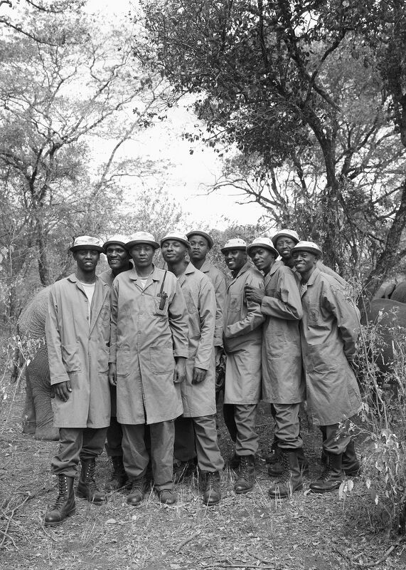 Sheldrick Wildlife Trust