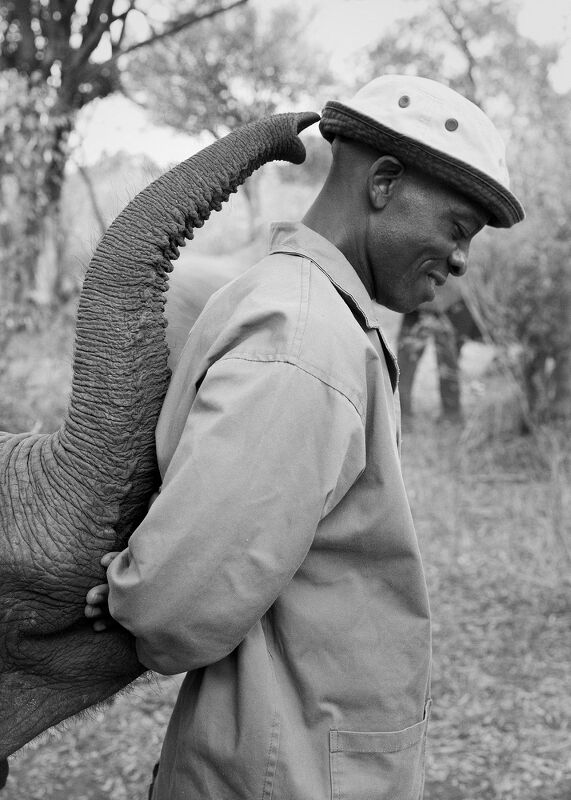 Sheldrick Wildlife Trust