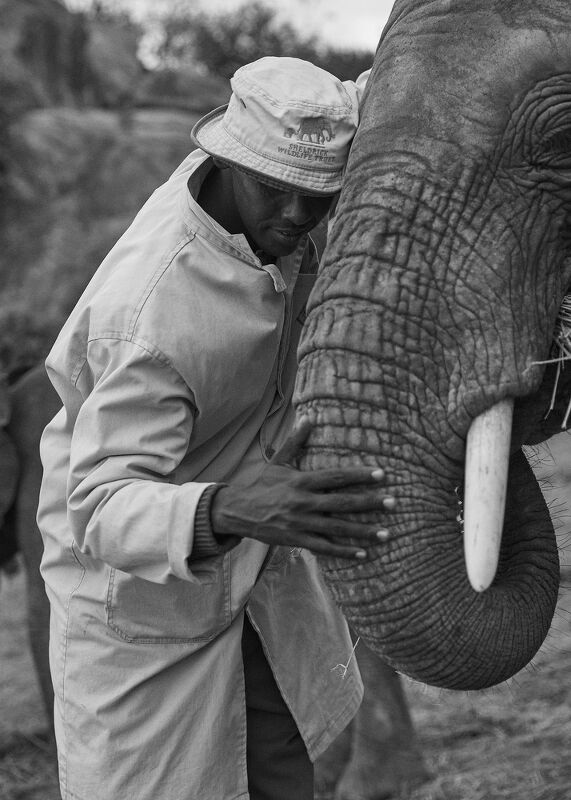 Sheldrick Wildlife Trust