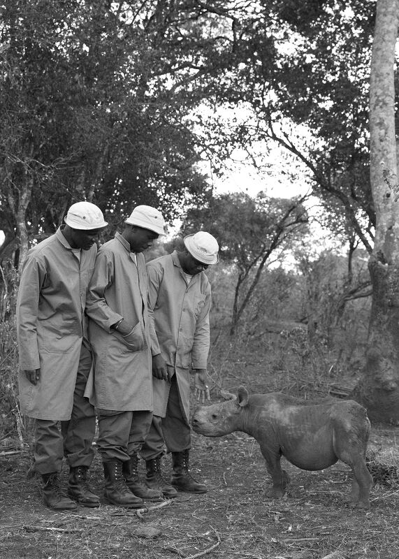 Sheldrick Wildlife Trust