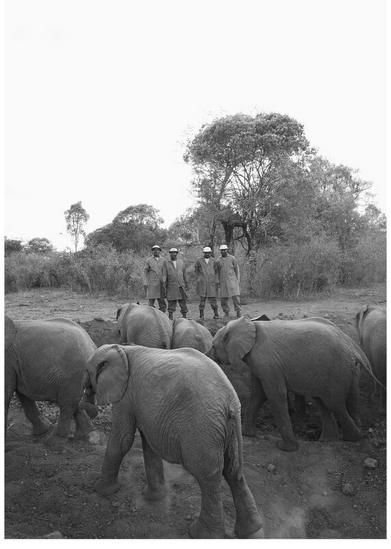 Sheldrick Wildlife Trust