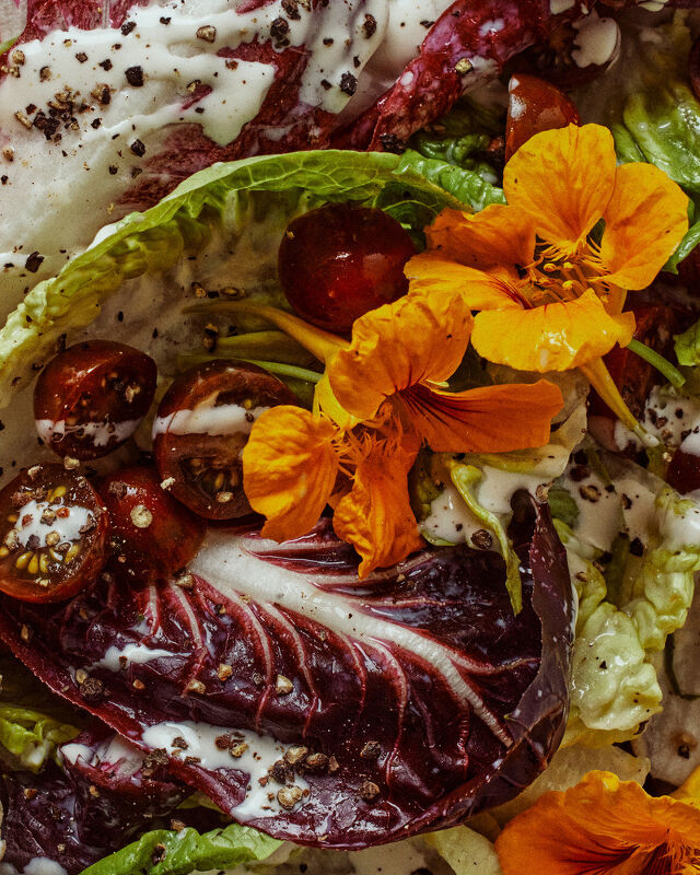 No-Cook Cookbook by Susie Theodorou