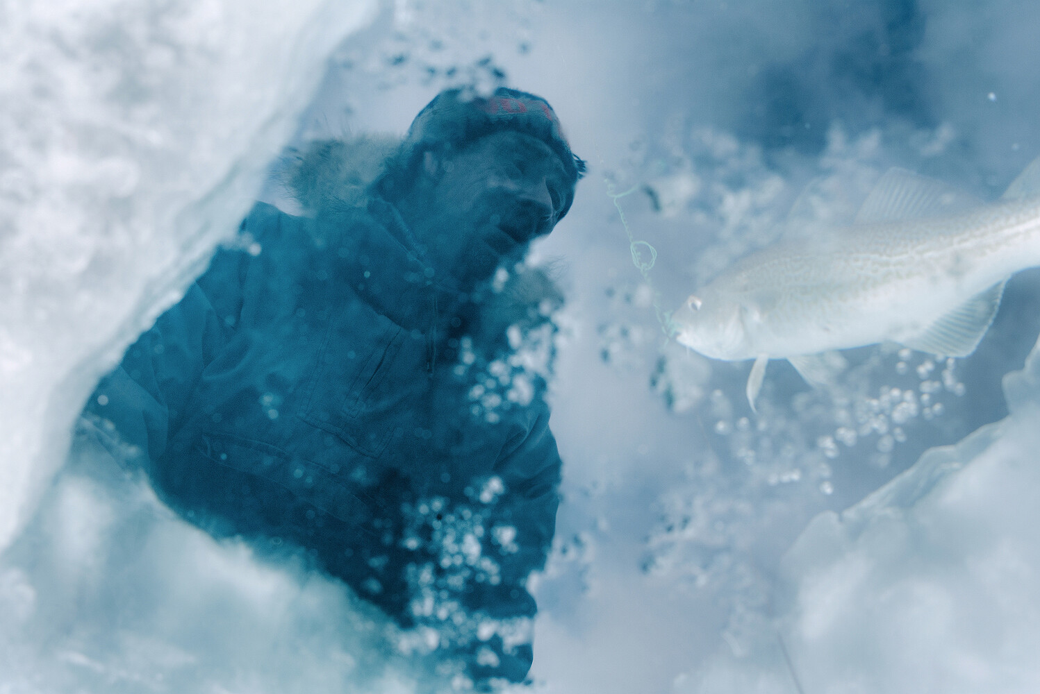 New York Public Library — Awe of the Arctic: A Visual History