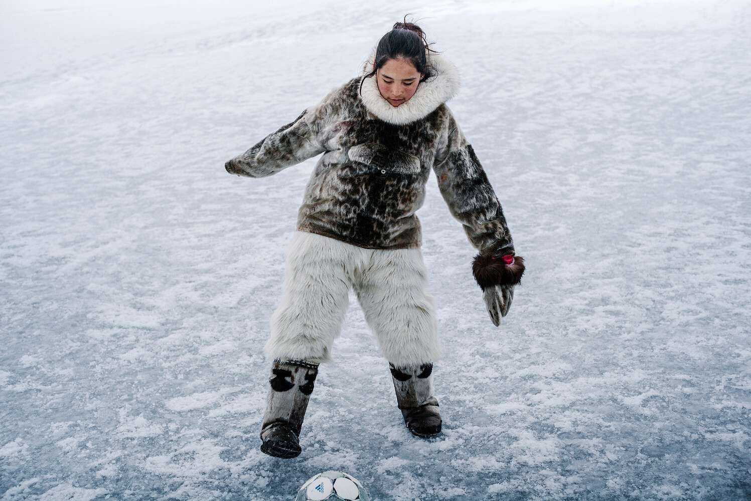New York Public Library — Awe of the Arctic: A Visual History